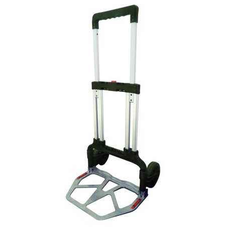 catalogo_582805.jpg