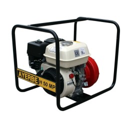 catalogo_5419250.jpg