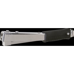 images_G11.png